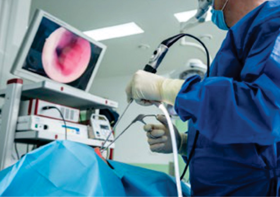 Endoscopy Suite