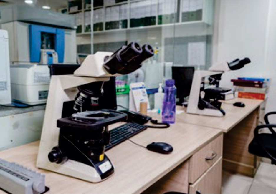 Lab Services